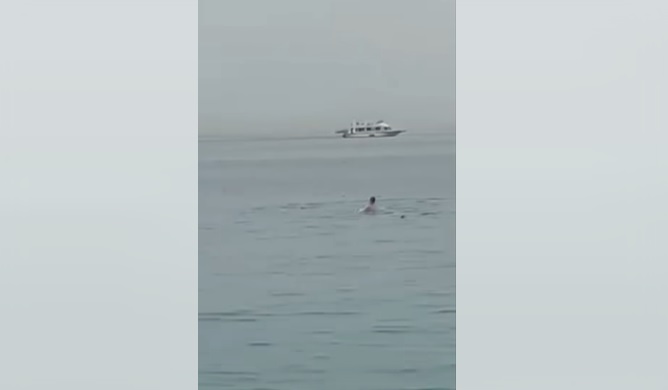 Fatal Shark Attack in Egypt: Russian Tourist Killed in Hurghada – Archyde